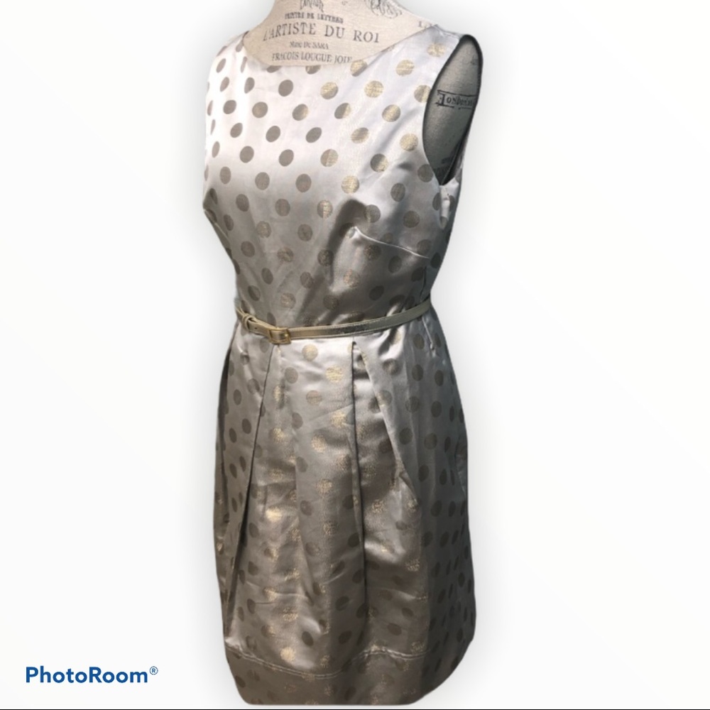 Classy Polka Dot Dress  HG